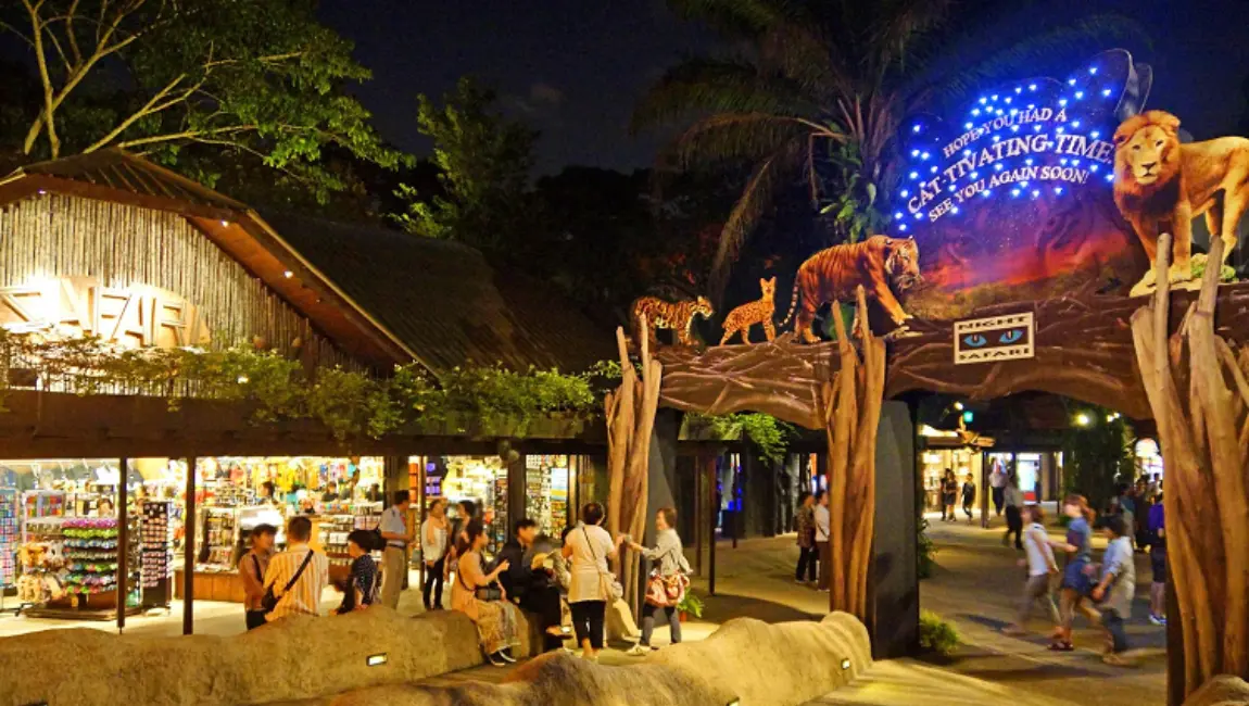 safari singapore night