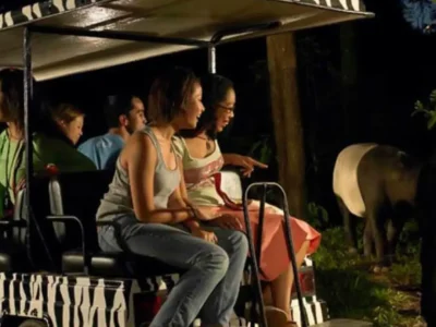 singapore with Night Safari