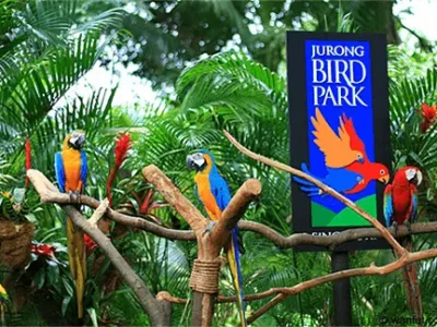 reviews-bali-bird-park Bali Bird Park Reviews