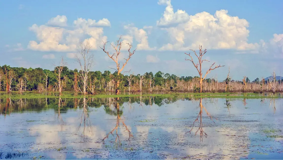 Tonle Sap River Cambodia