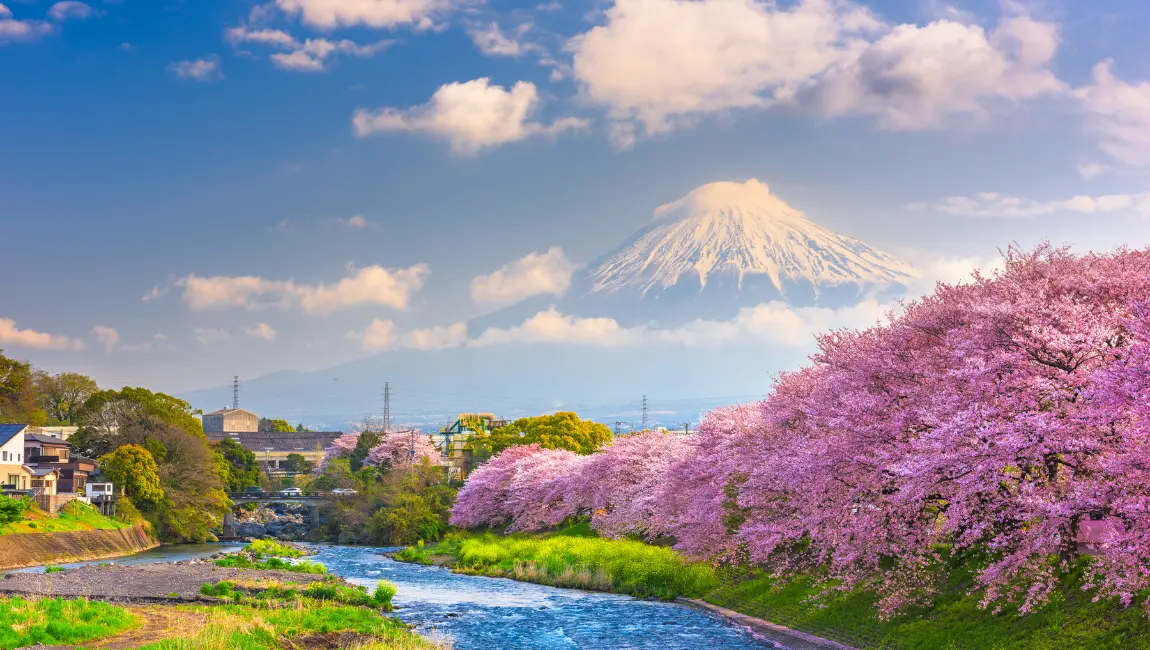 Mt. Fuji Japan spring landscape